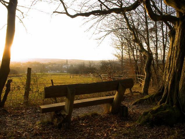 Product picture Bench